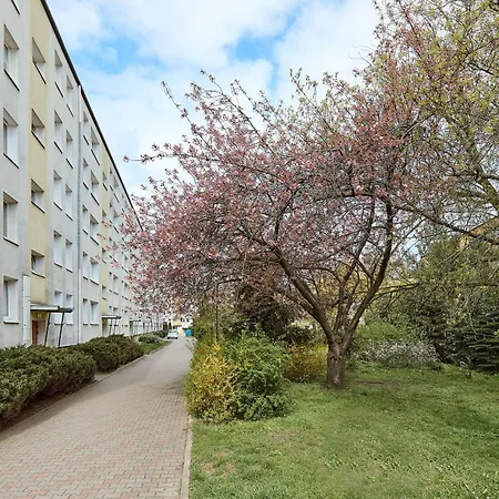 Pod Lipami Homely By Bookinghost Appartement Poznań